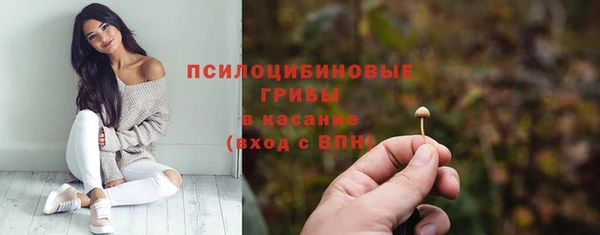 mix Алексин