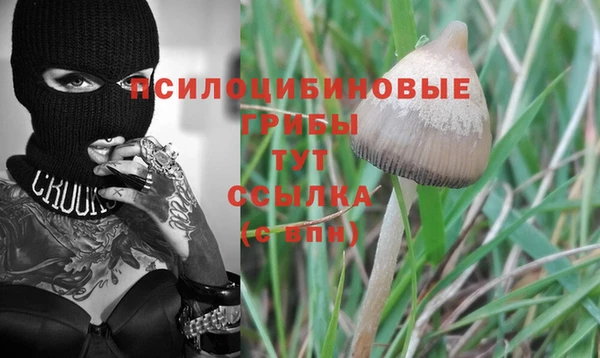 mix Алексин