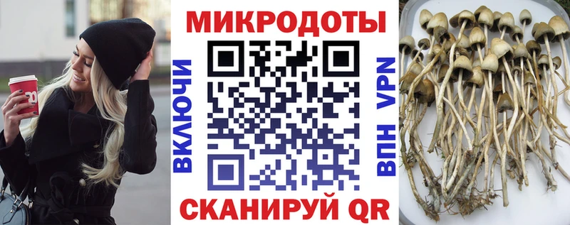 Псилоцибиновые грибы мухоморы Киржач