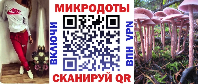 купить закладку  Киржач  Псилоцибиновые грибы мицелий 